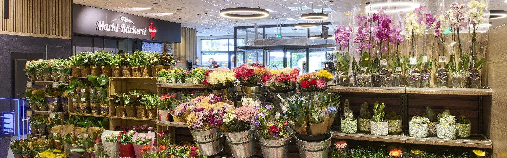 Blumen